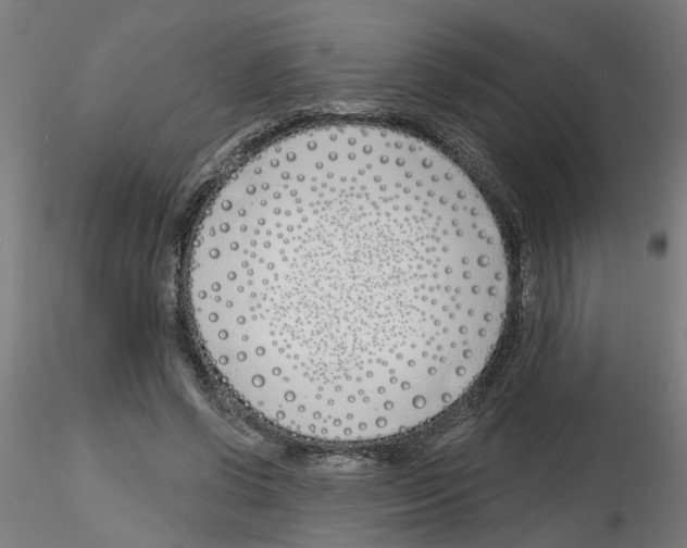 X0000116150542201001041055