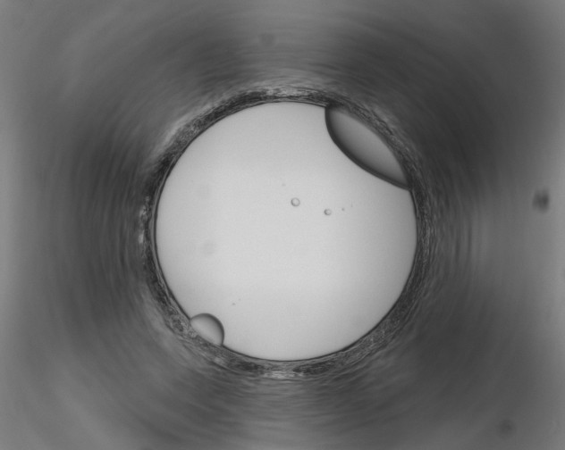 X0000116150543201001041055