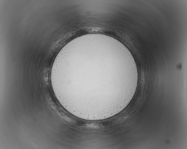 X0000116150545201001041055