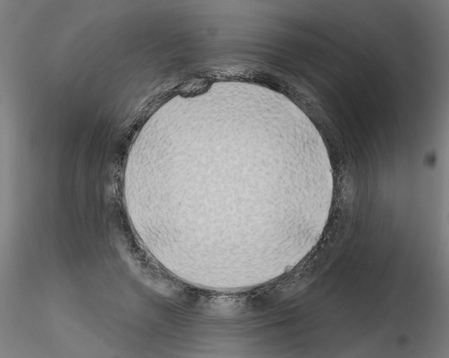 X0000116150546201001041055