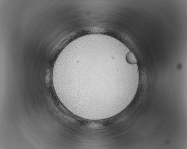 X0000116150549201001041055