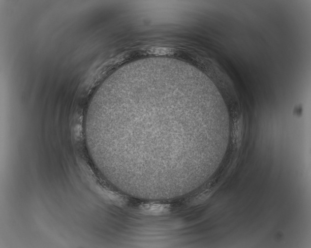 X0000116150553201001041055