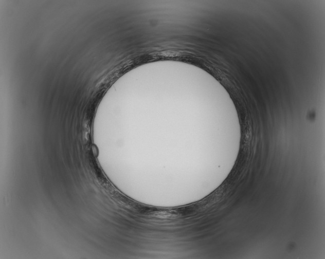 X0000116150555201001041055