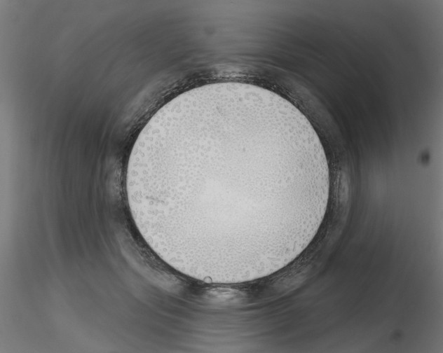 X0000116150557201001041055