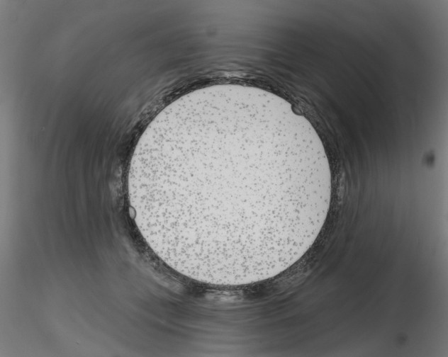 X0000116150559201001041055