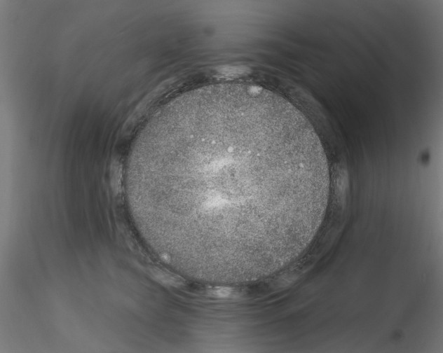 X0000116150565201001041056