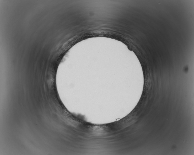 X0000116150566201001041056