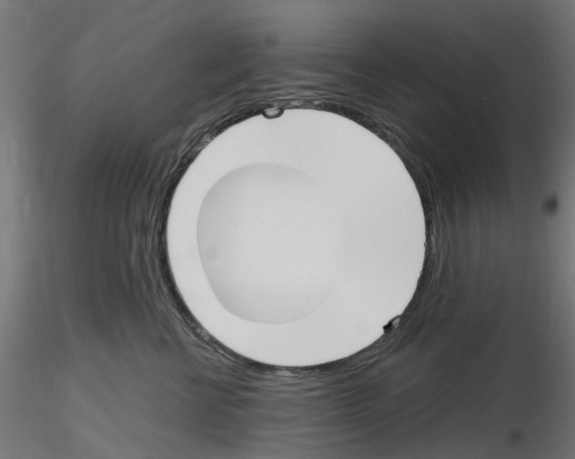 X0000116150570201001041056