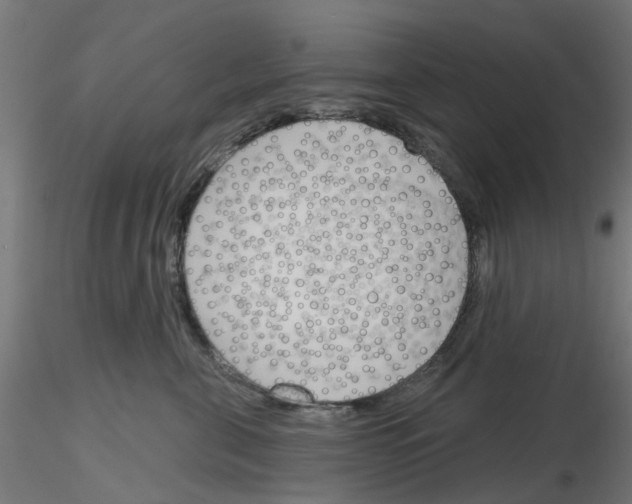 X0000116150571201001041056