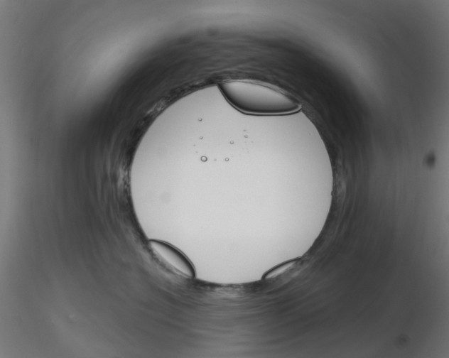 X0000116150574201001041056