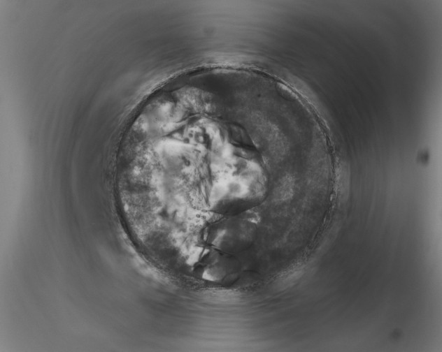 X0000116150577201001041055