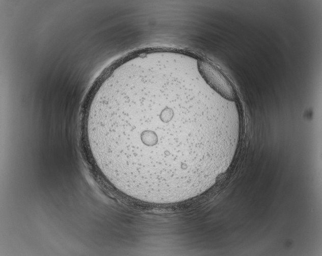 X0000116150580201001041055