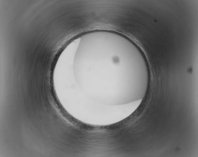 X0000116150581201001041055