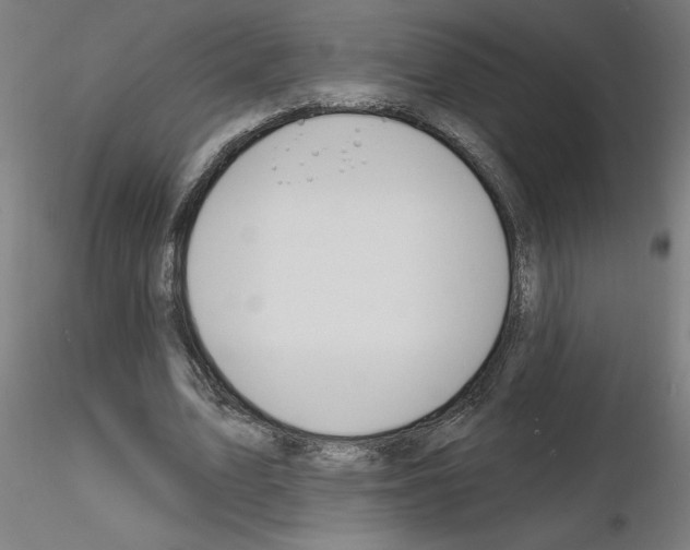 X0000116150583201001041055