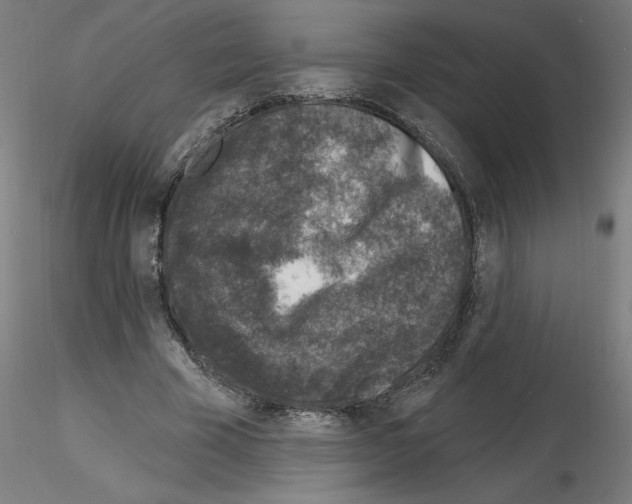 X0000116150585201001041055