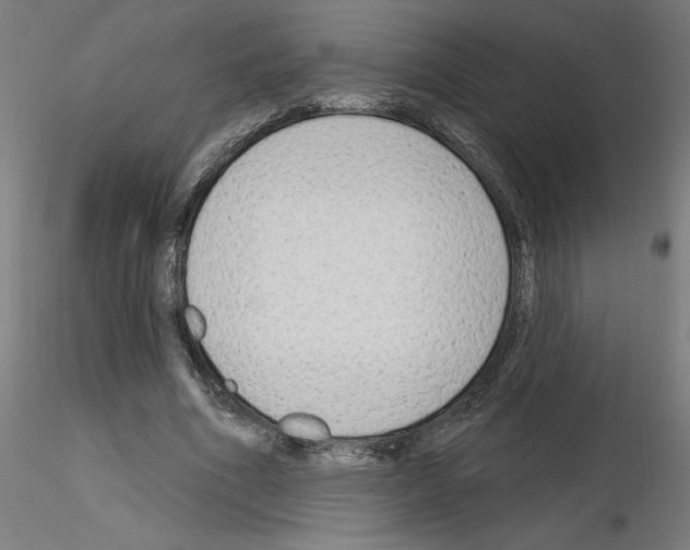 X0000116150586201001041055