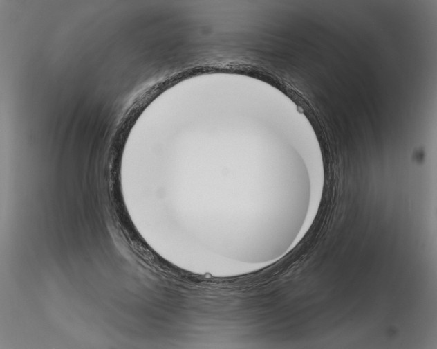 X0000116150587201001041055