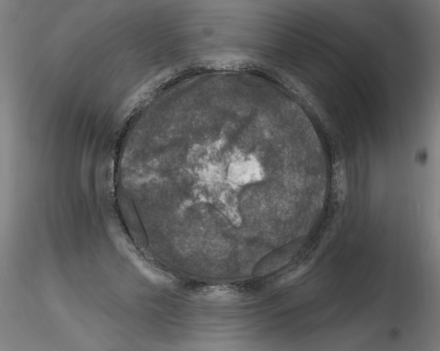 X0000116150589201001041055