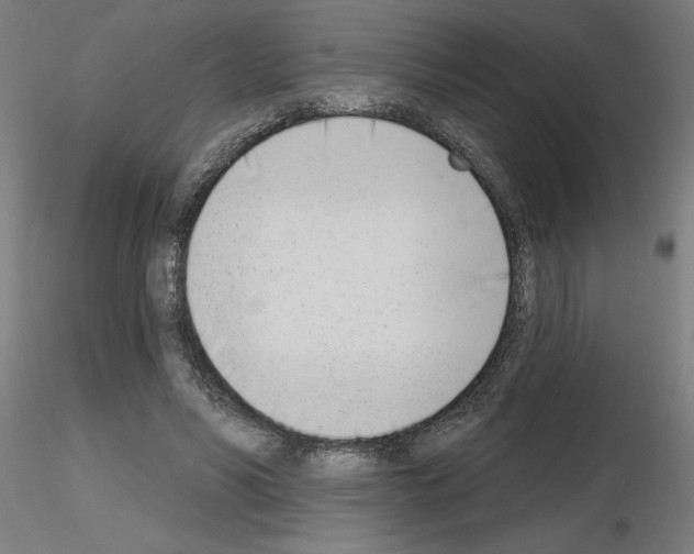 X0000116150590201001041055