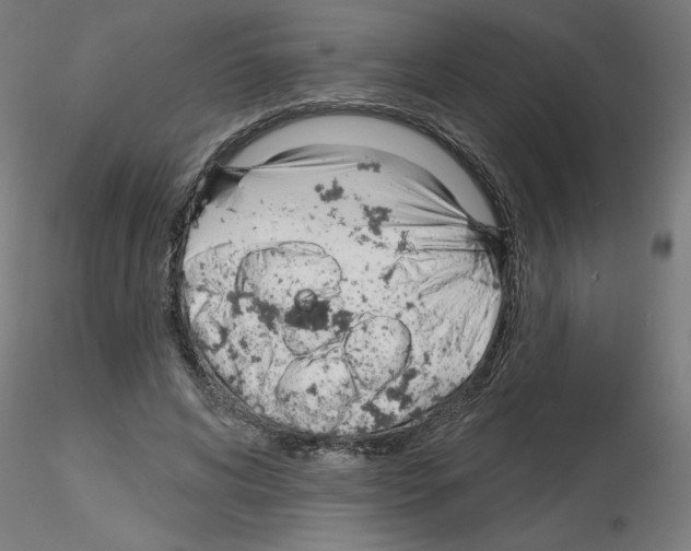 X0000116150592201001041055