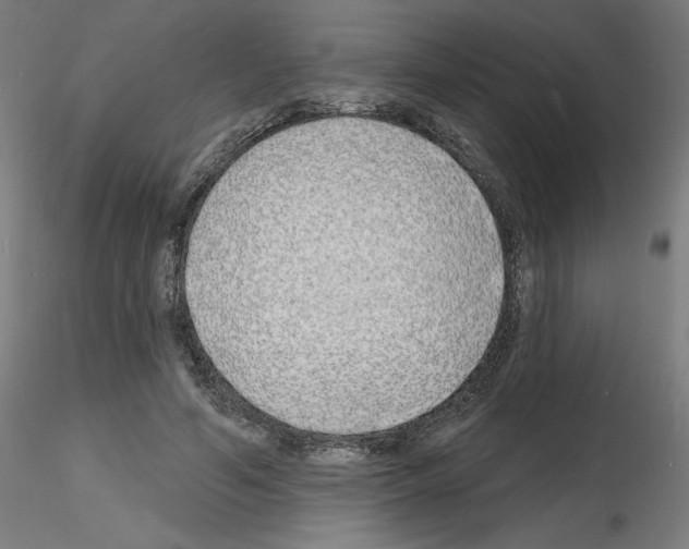 X0000116150594201001041055