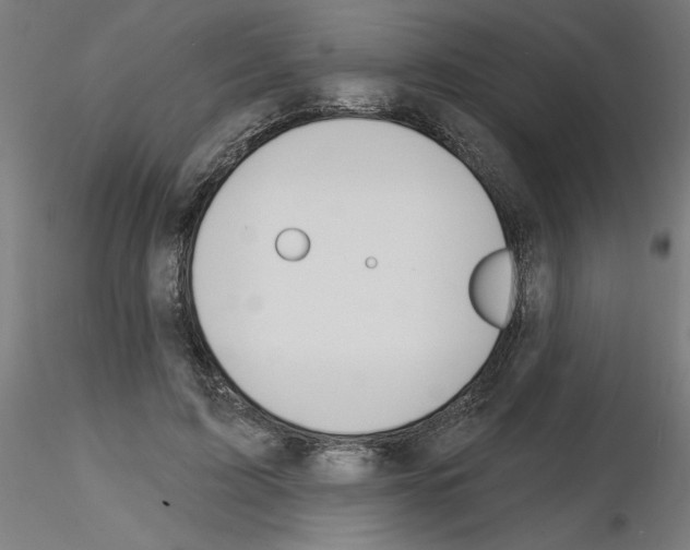 X0000116150595201001041055