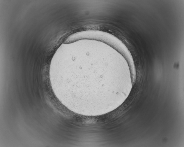 X0000116150600201001041055