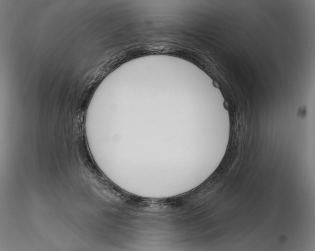 X0000116150601201001041055