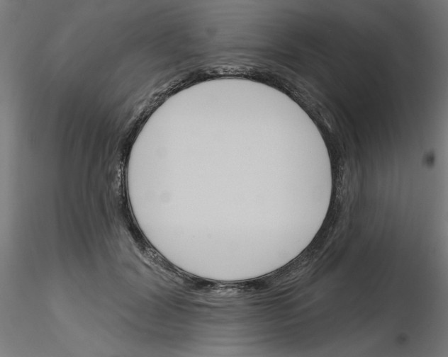 X0000116150604201001041055