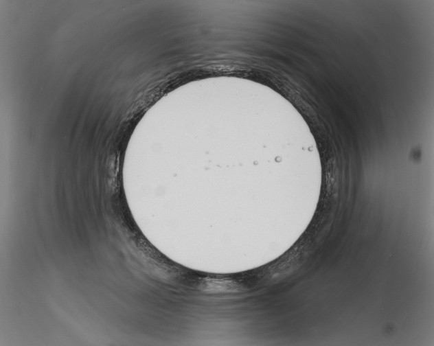 X0000116150605201001041055