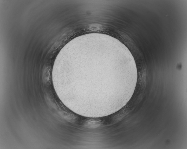 X0000116150606201001041055