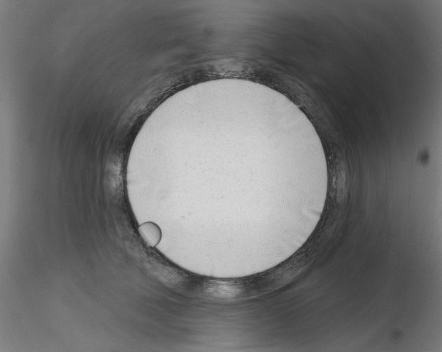 X0000116150610201001041055