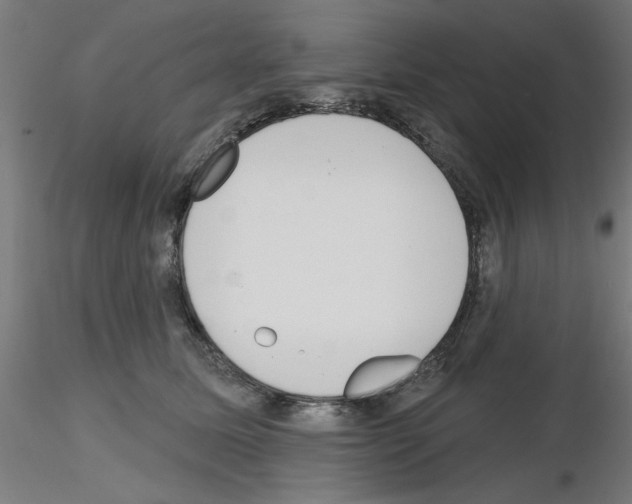 X0000116150611201001041055