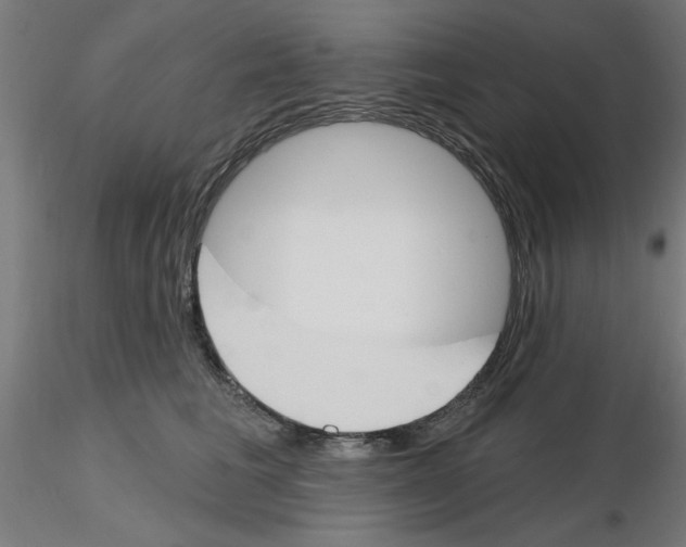 X0000116150613201001041055