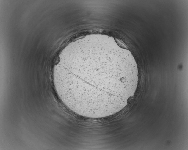 X0000116150616201001041055