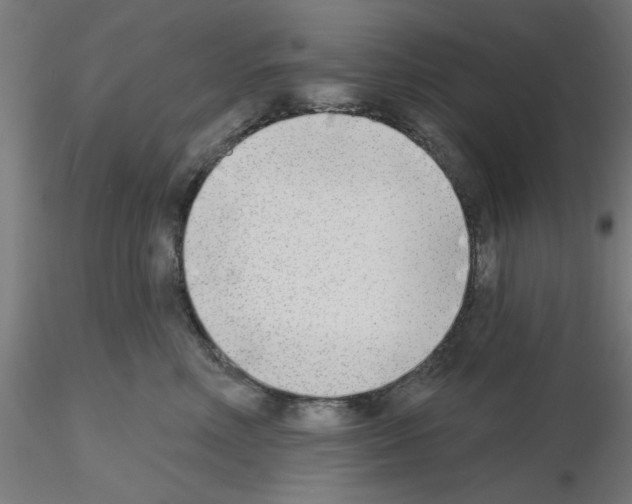 X0000116150618201001041055