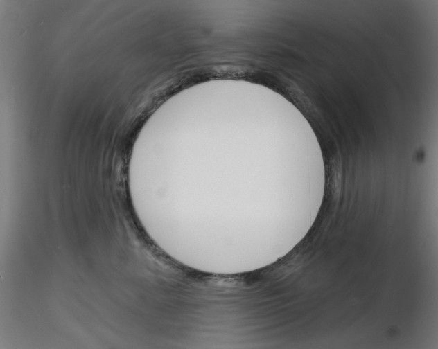 X0000116150619201001041054