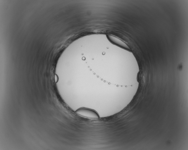 X0000116150620201001041054