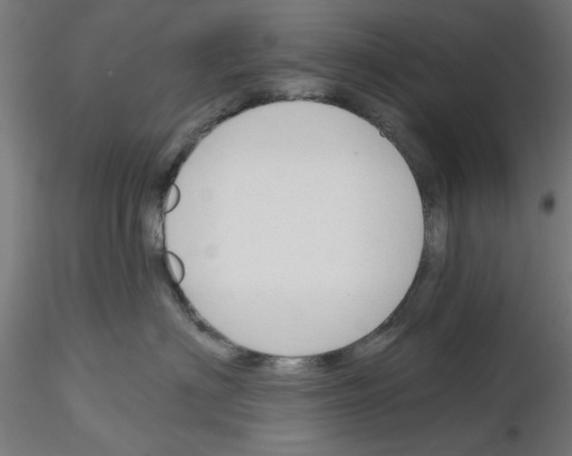 X0000116150622201001041054