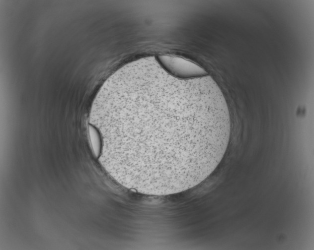 X0000116150624201001041054