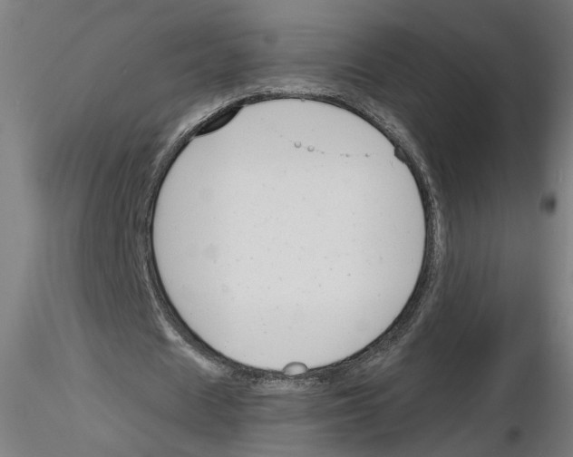 X0000116150625201001041054