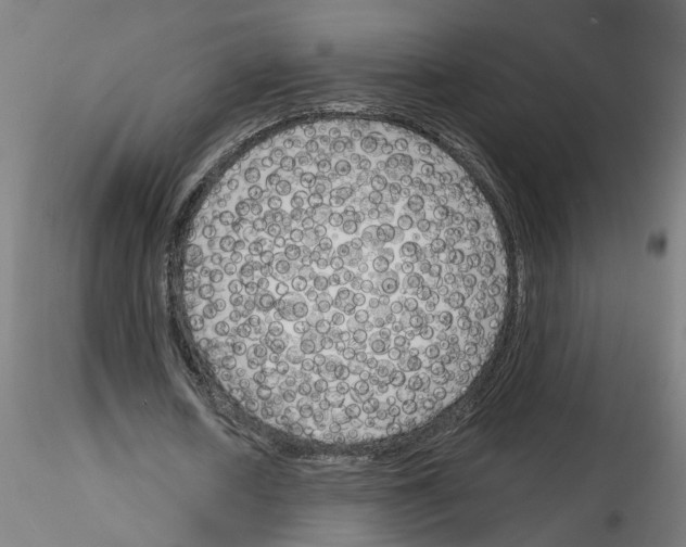 X0000116150626201001041054