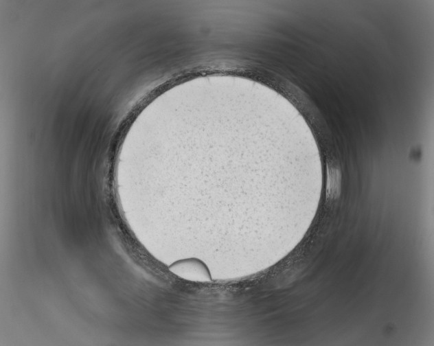 X0000116150627201001041054