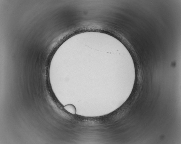 X0000116150629201001041054