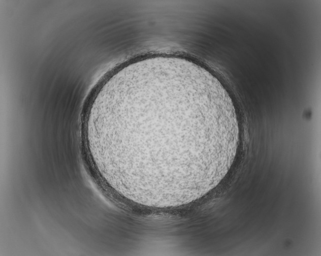 X0000116150630201001041054