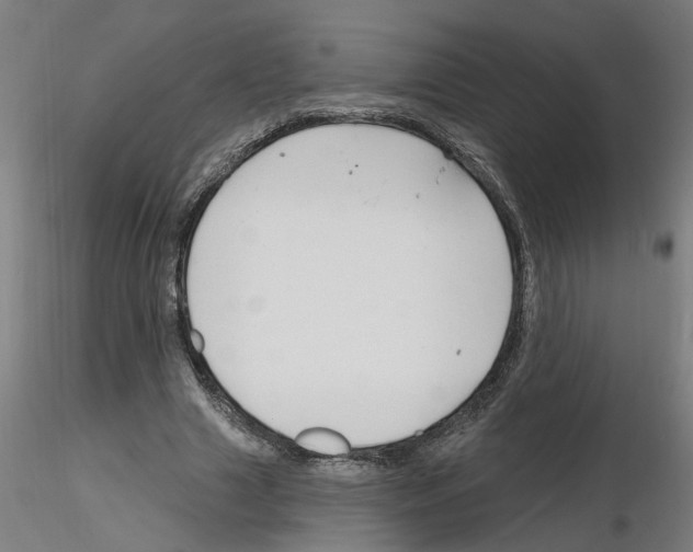 X0000116150633201001041054