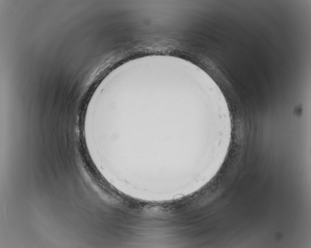 X0000116150634201001041054