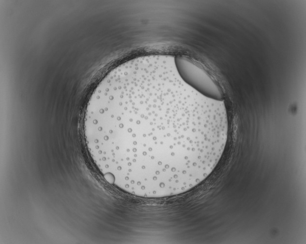 X0000116150637201001041054