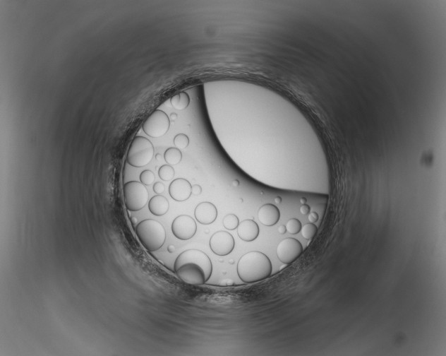 X0000116150639201001041054