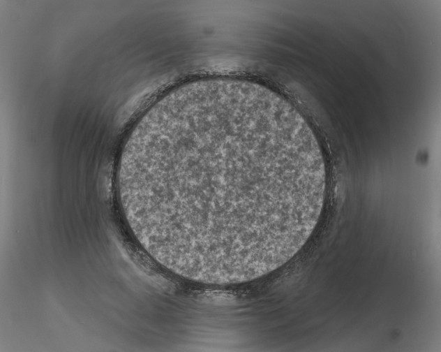 X0000116150640201001041054